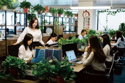 河南全占商务信息咨询 企业发展的智慧伙伴